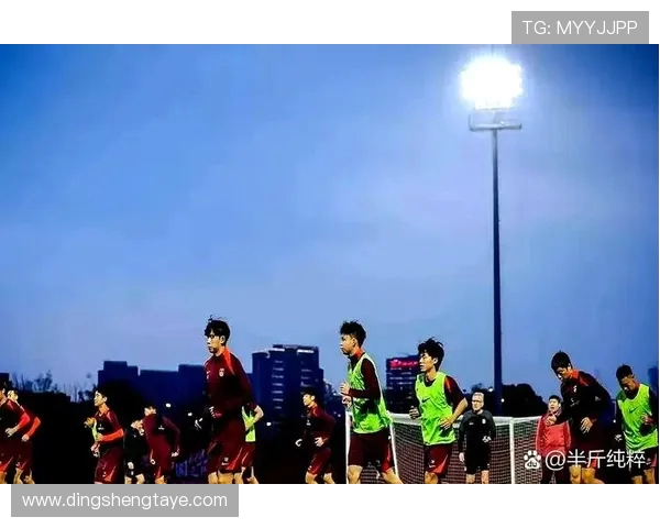 国足新星闪耀赛场助球队逆转取胜掀起全国球迷热潮 国足新星闪耀赛场助球队逆转取胜掀起全国球迷热潮