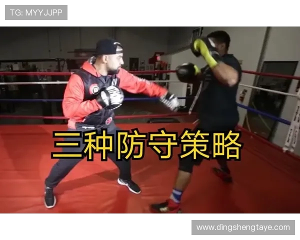 北京极限运动队防守策略分析与比赛表现评估