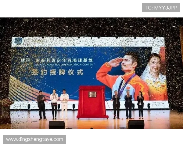 南京羽毛球队防守革新之路探索与实践的深度分析与展望