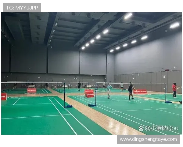 深圳羽毛球队与上海羽毛球队实力对比赛后分析与总结