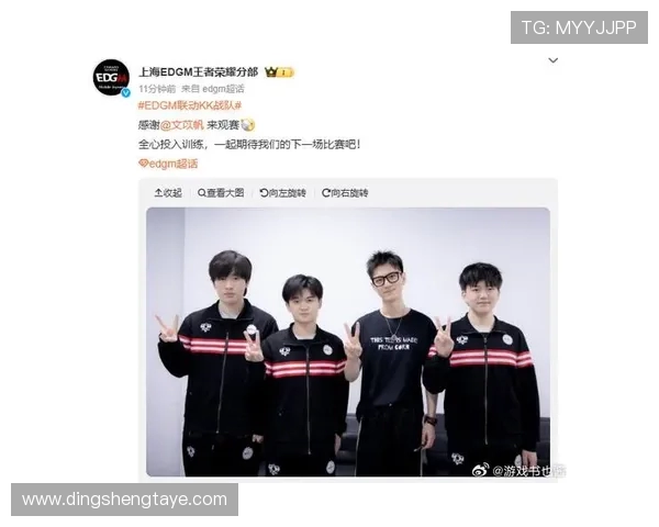 聚焦王者荣耀EDG战队比赛经验分享与战术解析