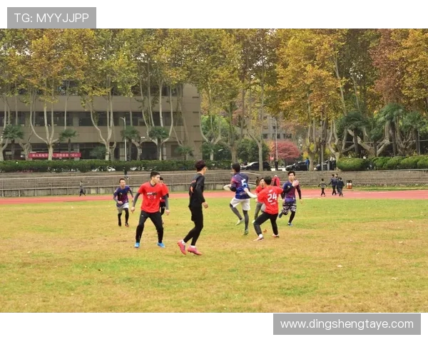 西安飞盘队夺冠最新团队协作排名前十精彩回顾