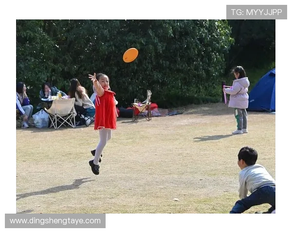 飞盘实力排名揭晓上海飞盘队荣登第九位展现强劲实力