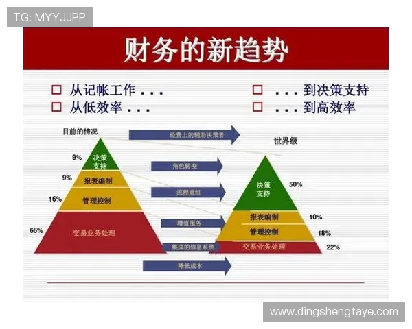 CFO与FNC在企业财务管理中的角色对比与发展趋势分析